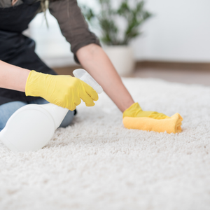 Do You Need New Carpet Before Putting Your House on the Market in  Los Angeles, CA