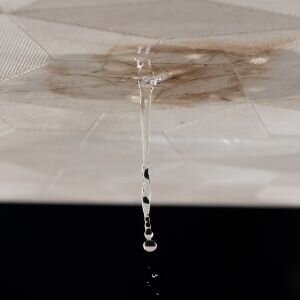 Tips for Selling a House With Water Damage In California