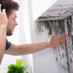 Sell Your Home With Mold in California
