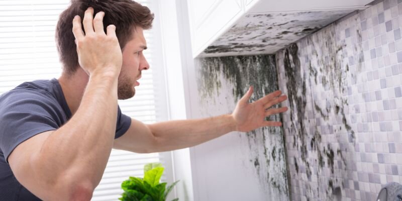 Sell Your Home With Mold in California