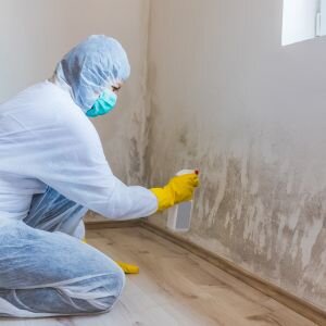 Sell a House Fast With Mold in California
