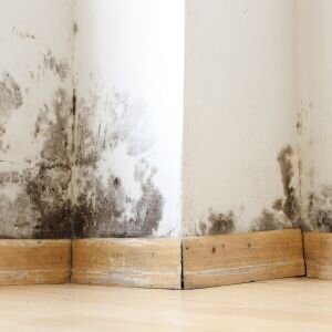 Sell a House With Mold in California