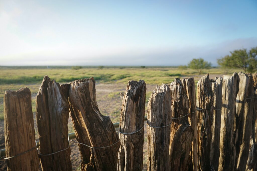 Make the most of your next investment with these 4 tips for land buyers in Texas.
