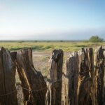 4-Tips-for-land-buyers-in-texas-1
