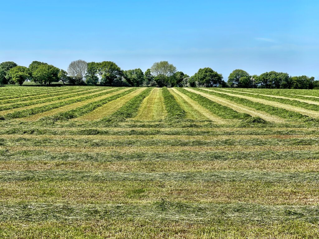 Sell My Vacant Land Cincinnati OH | We Buy Land In Cincinnati Online