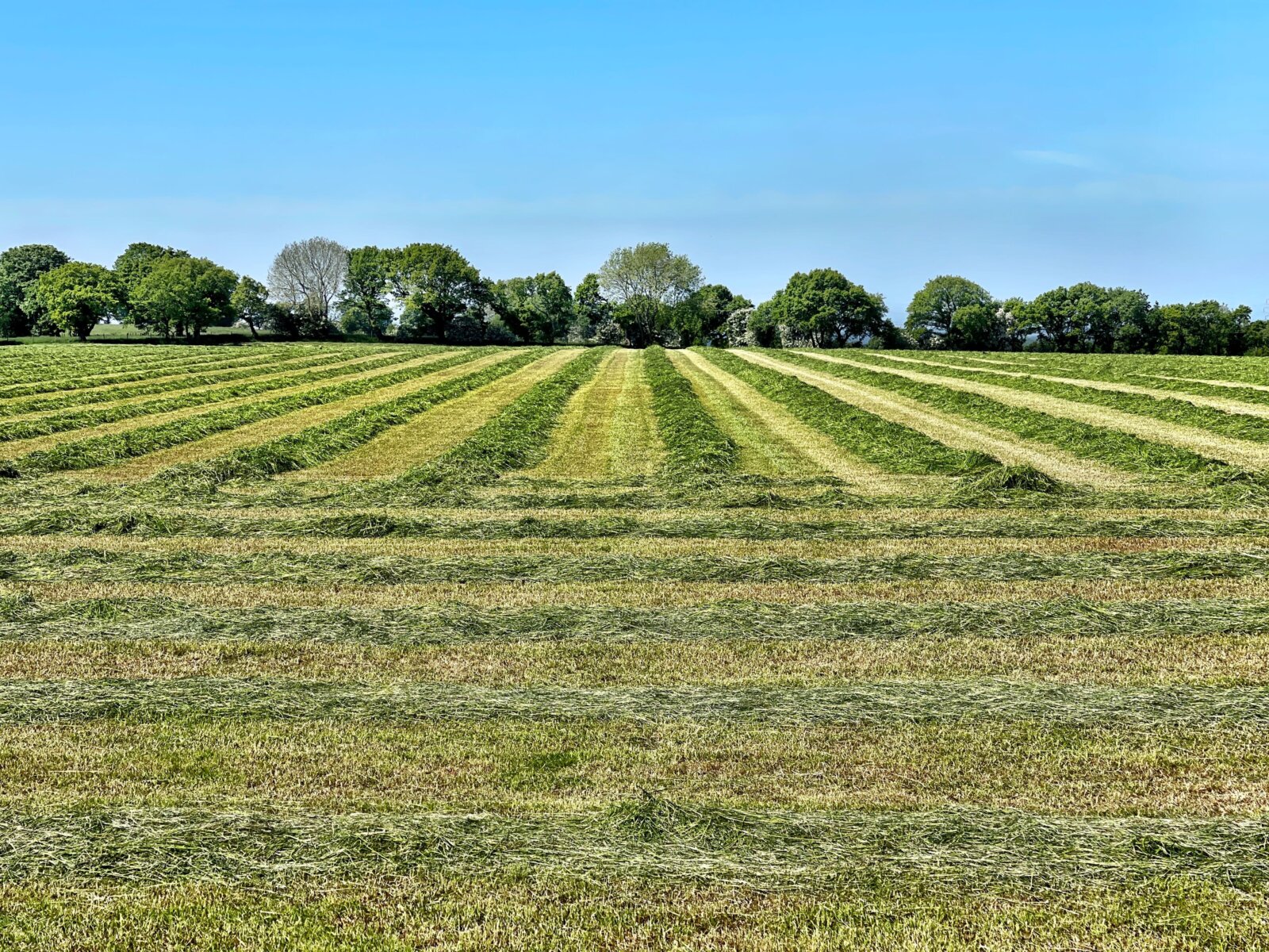 Sell My Vacant Land Cincinnati OH | We Buy Land In Cincinnati Online