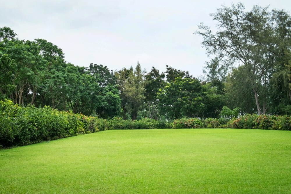 Sell My Land DuPage County | We Buy Land DuPage County