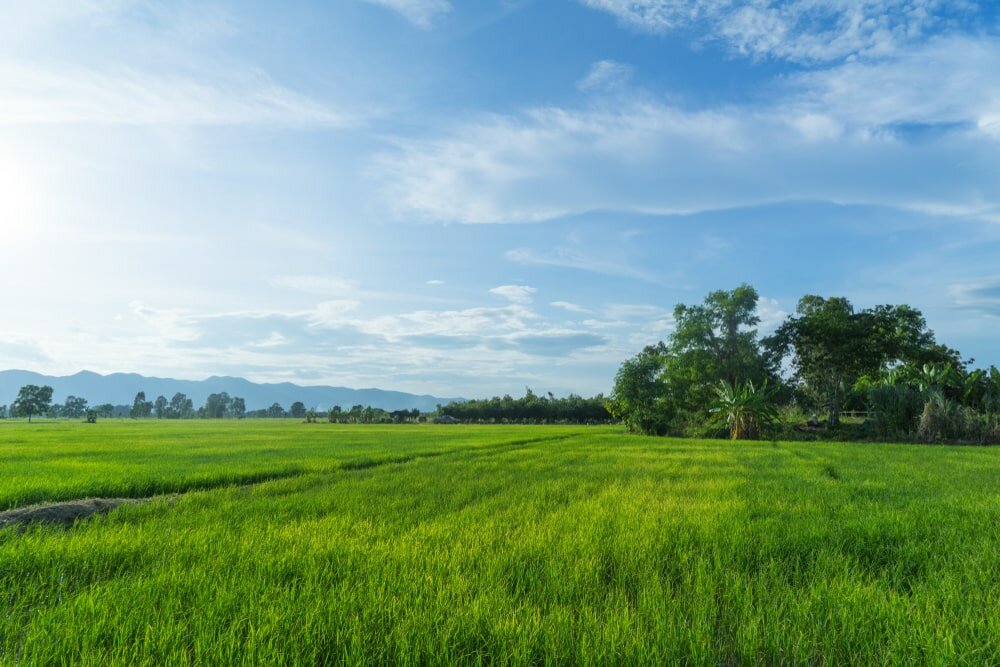 Sell My Vacant Land Arkansas