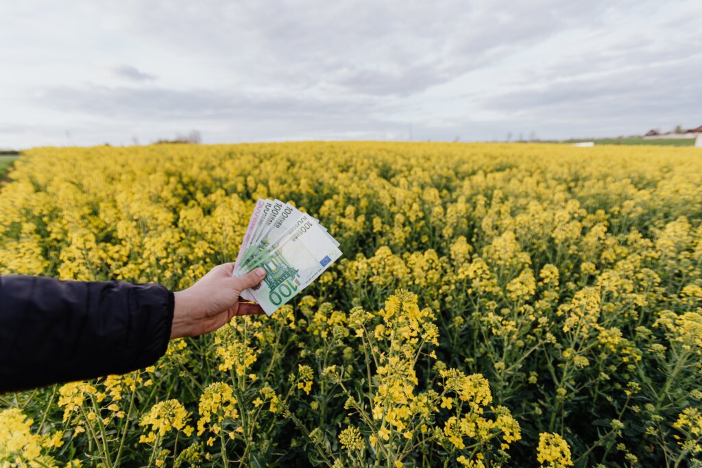 Get Cash for Your Vacant Land