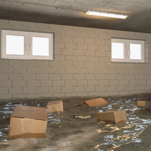 Sell My House Water damage Chicago