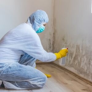 Selling a House That Has Mold in Illinois
