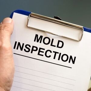 Selling a House With Mold Damage in Illinois