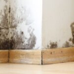 Selling a House With Mold Issues in Illinois
