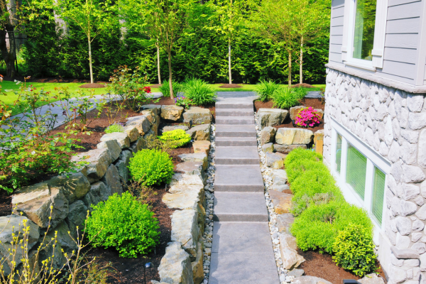 Vinyl and Landscape Upgrades