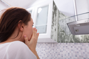 hazard of house mold