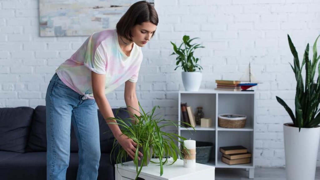 Person de-cluttering and cleaning home to prepare for fast cash home sale.
