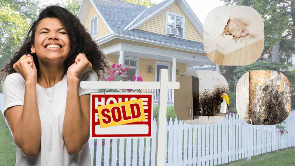 Selling a house with mold