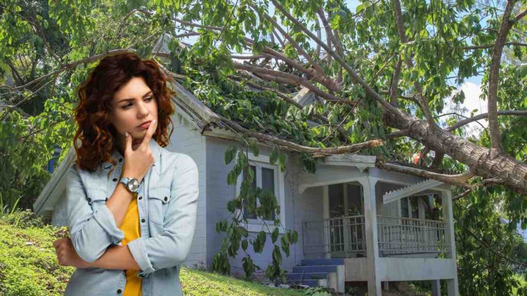 Ways on How to Get Rid of a Condemned House