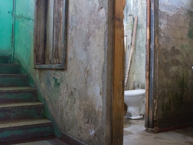 Graphic depicting health risks such as pests and mold in a condemned house.