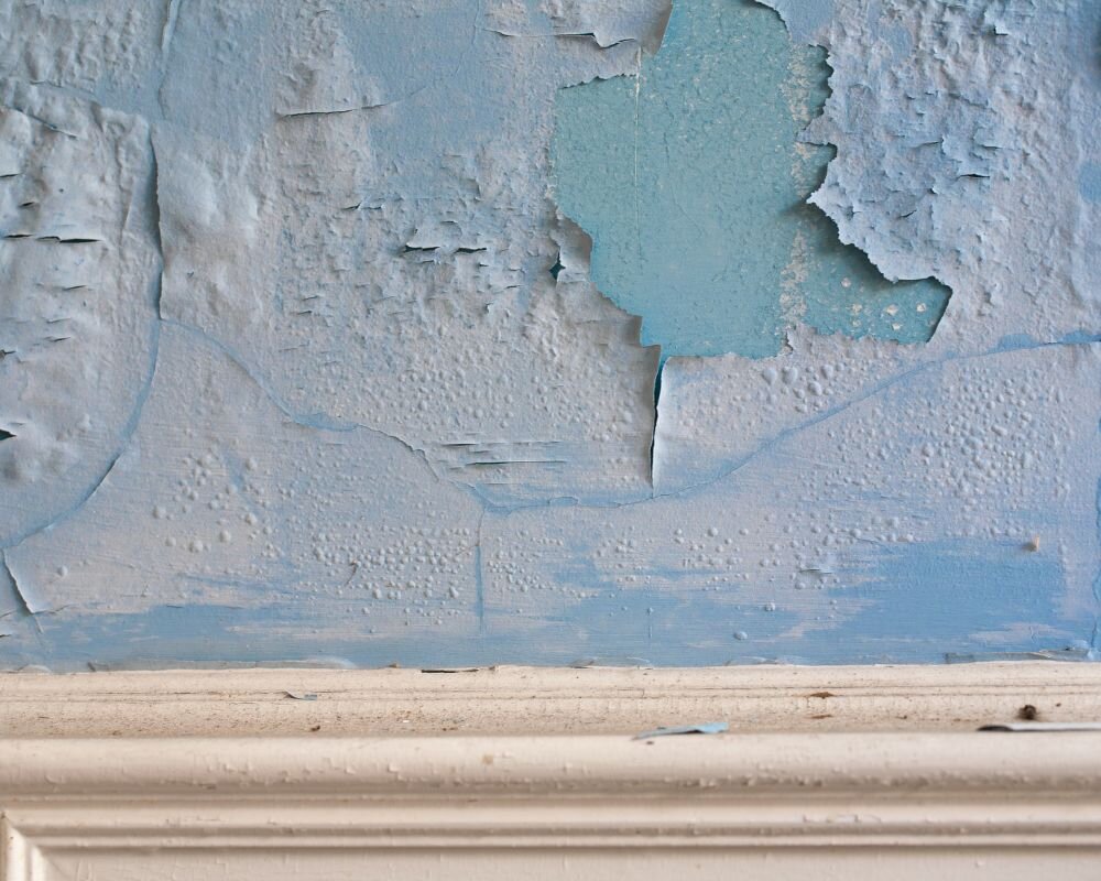 Health hazards in condemned homes, including mold growth and lead paint