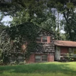 5 Ways the Foreclosure of Your House Will Impact You in the Future