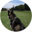 cash property buyers in 
 Washington DC  