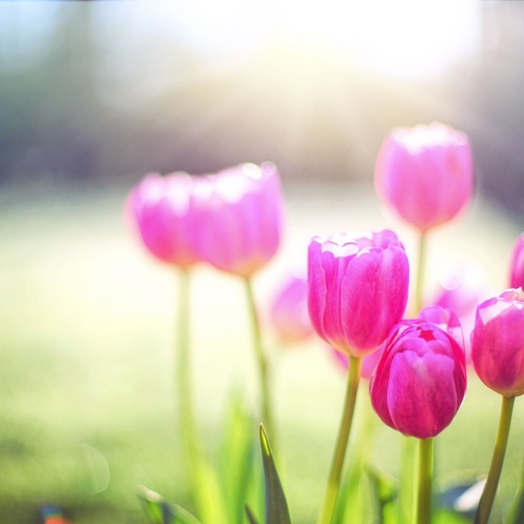 Spring is here and homes are selling
