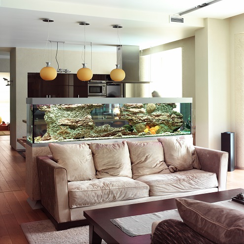 Improving Your Home’s Worth