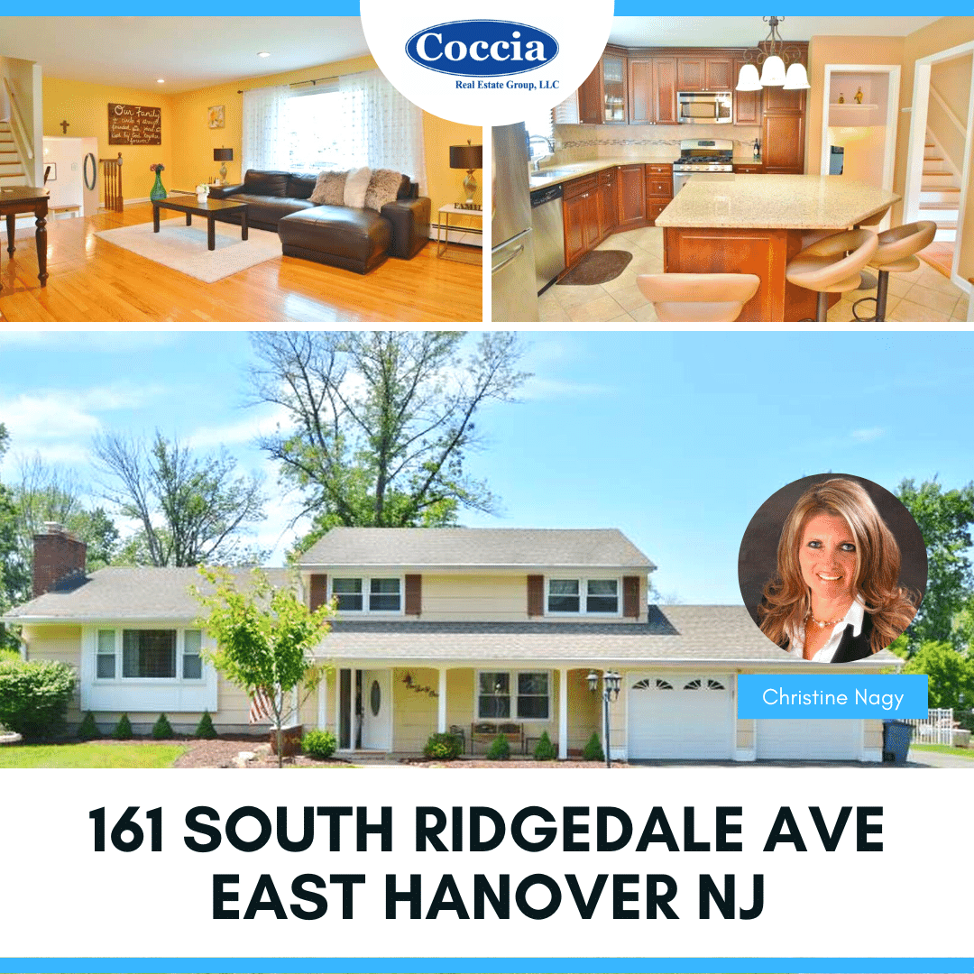 161 South Ridgedale Avenue, East Hanover NJ