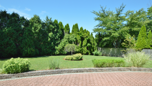 Coccia-Real-Estate-image