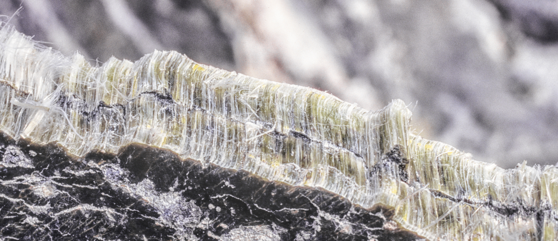 Can You Sell a House With Asbestos In Tennessee