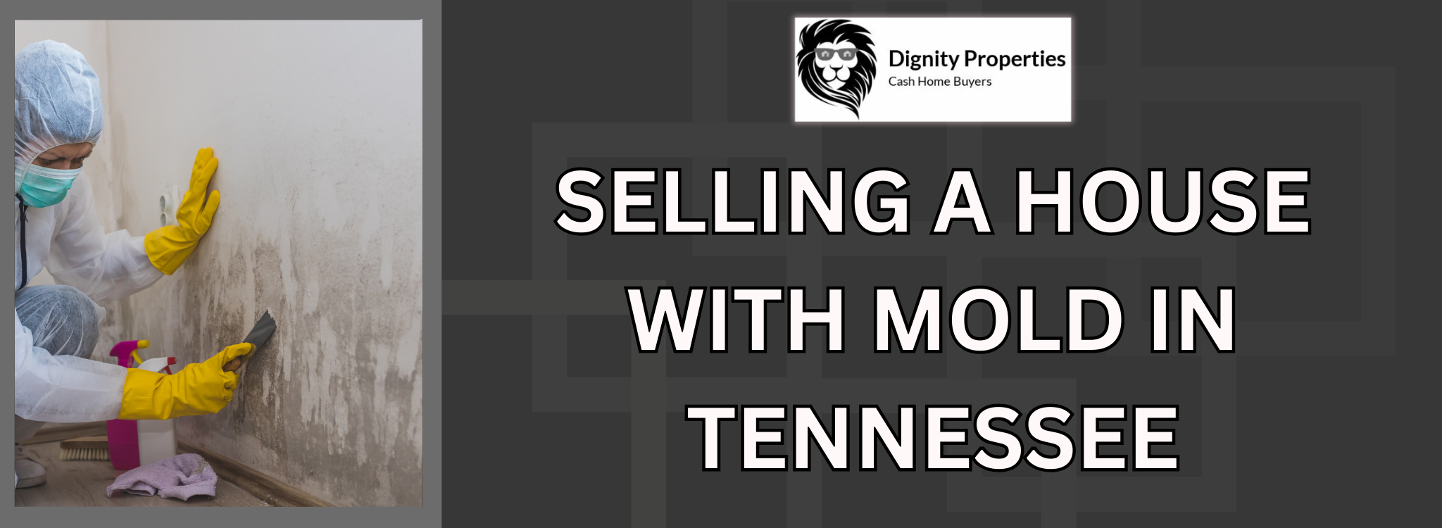 Sell Your Home With Mold in Tennessee