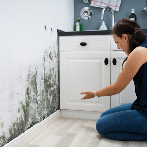 Selling House With Mold in Tennessee