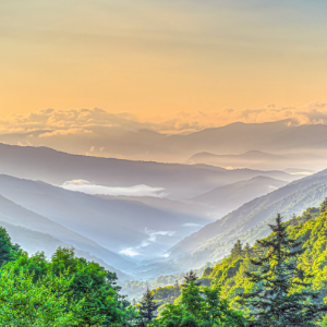 Facts you need to know about Tennessee