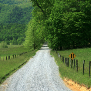 Interesting facts about Tennessee