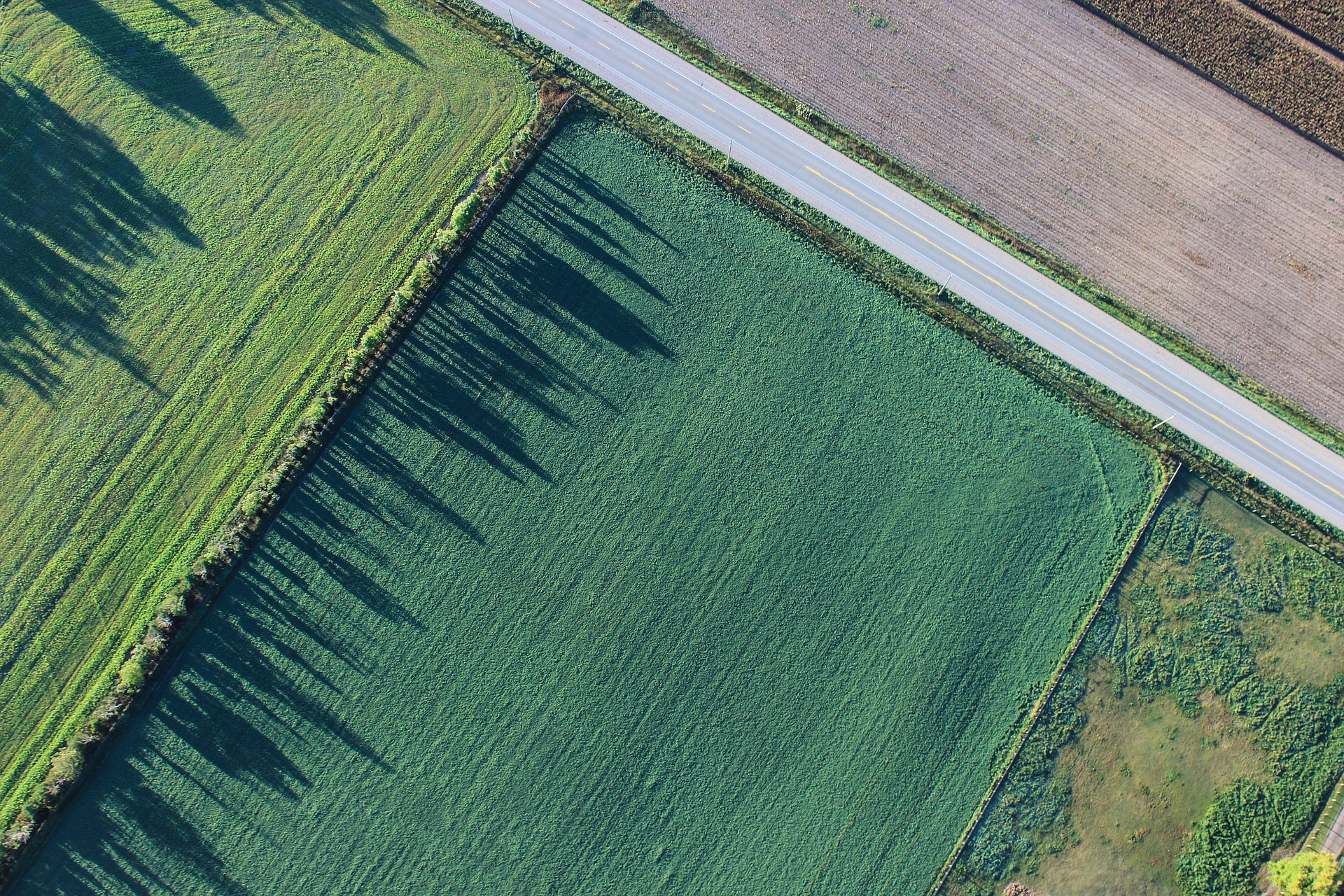 why selling land is different than selling your house in Illinois