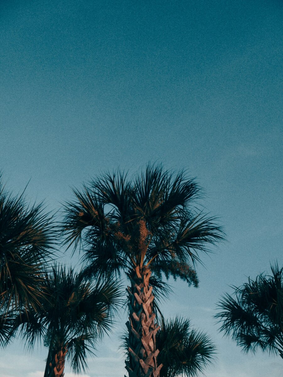 Sell My Vacant Land In De Soto County Florida