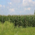 buying vacant land in indiana