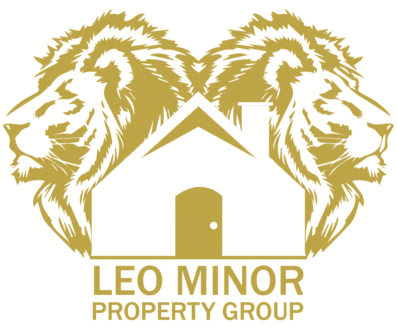 Leo Minor Property Group LLC  logo