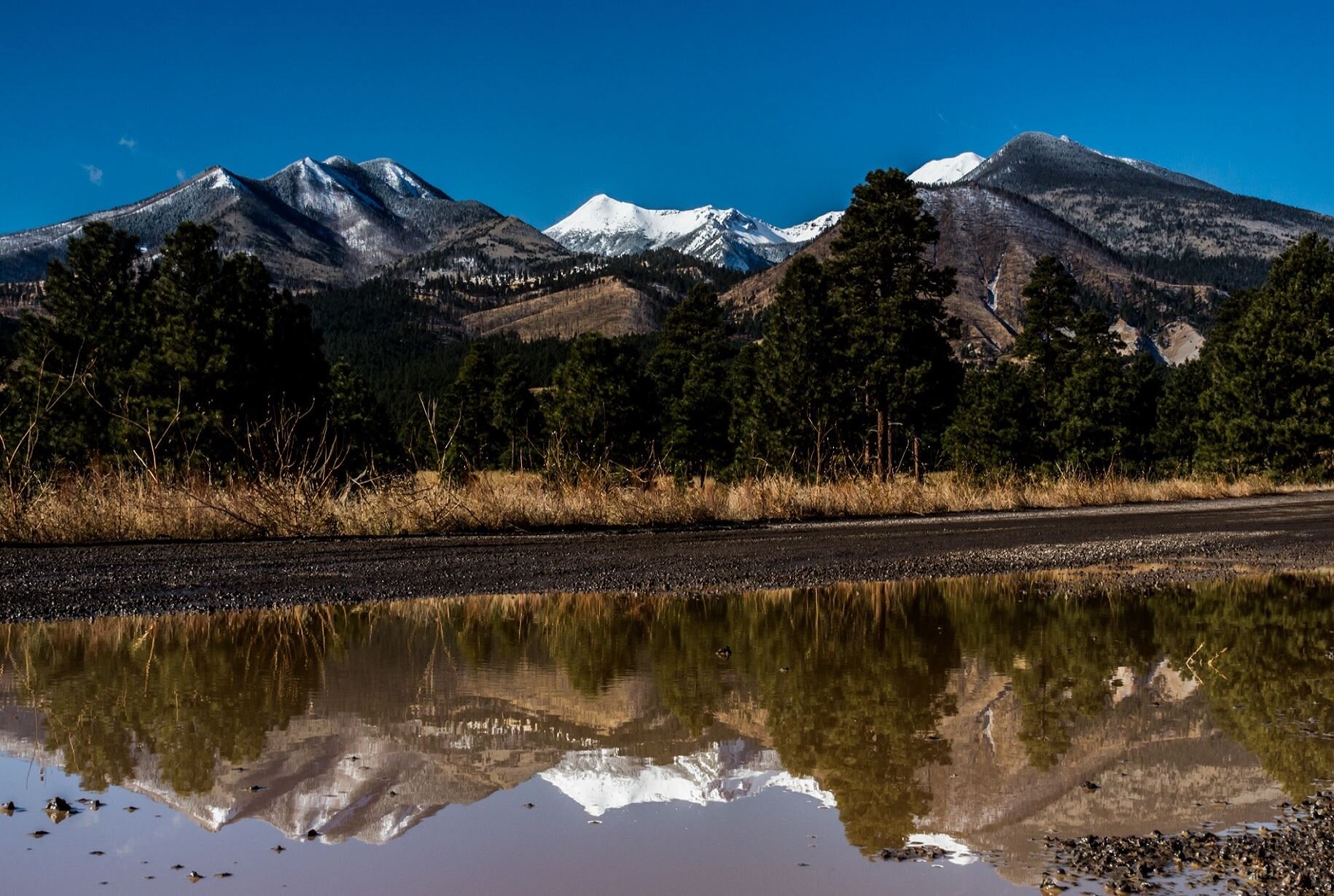 Coconino County Land for Sale Find Your Ideal Property Lands For You