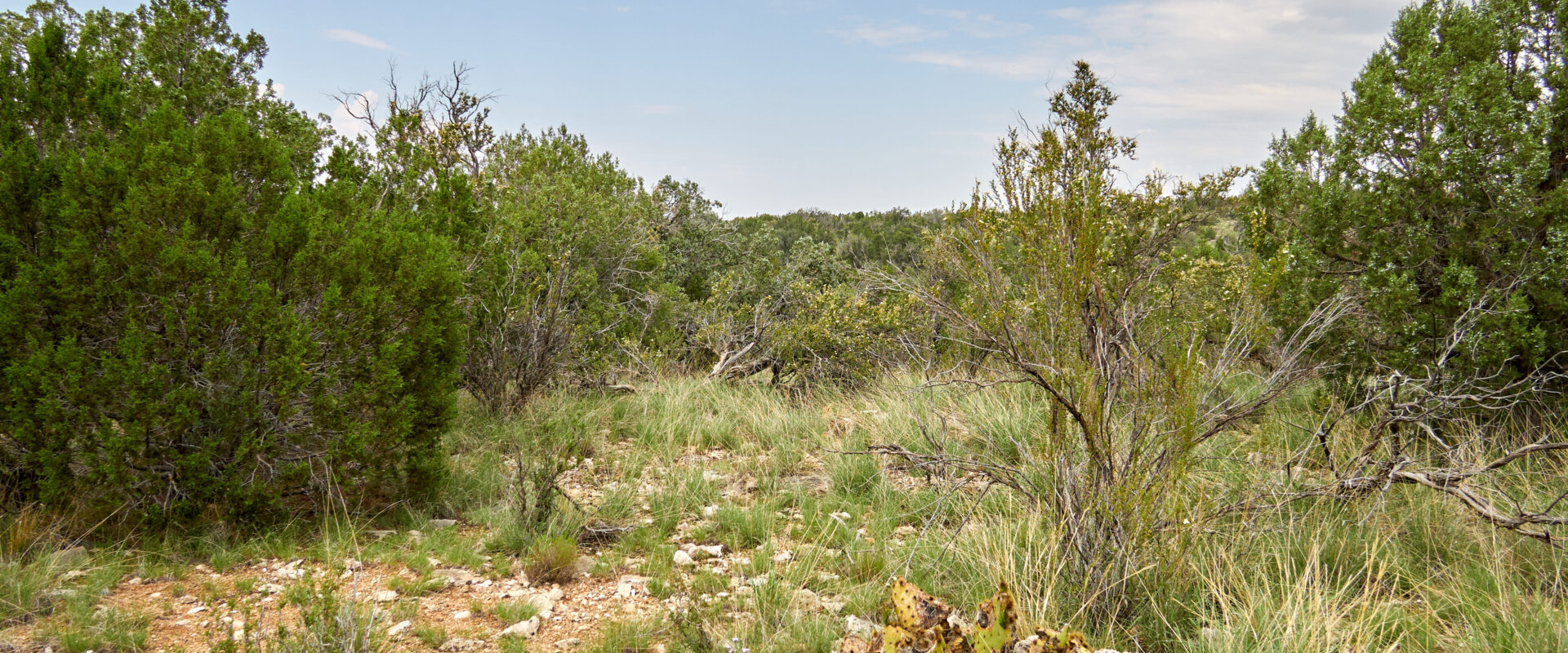 Land for Sale 3.04 Acres near Seligman in Yavapai County for only