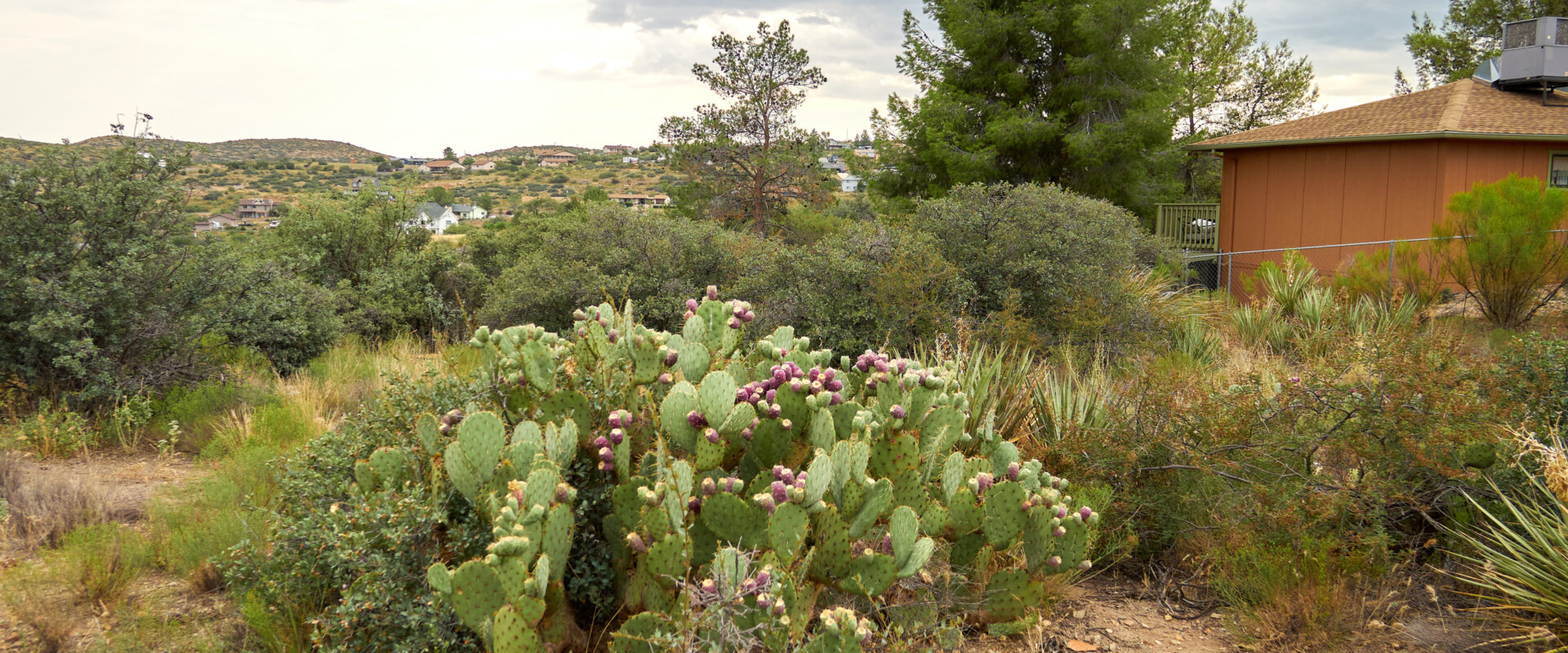 Land for Sale 0.16 Acre near Cordes LakesMayer in Yavapai County for
