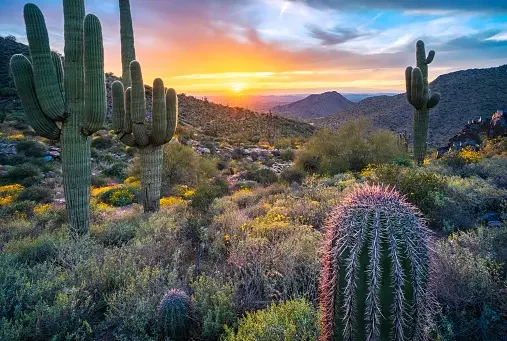 5 Things To Watch Out For When Buying Land In Phoenix
