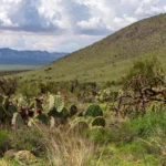 Land In Arizona