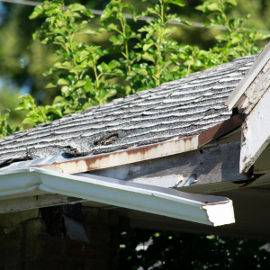 Property Affected by Tenant Damage In Texas