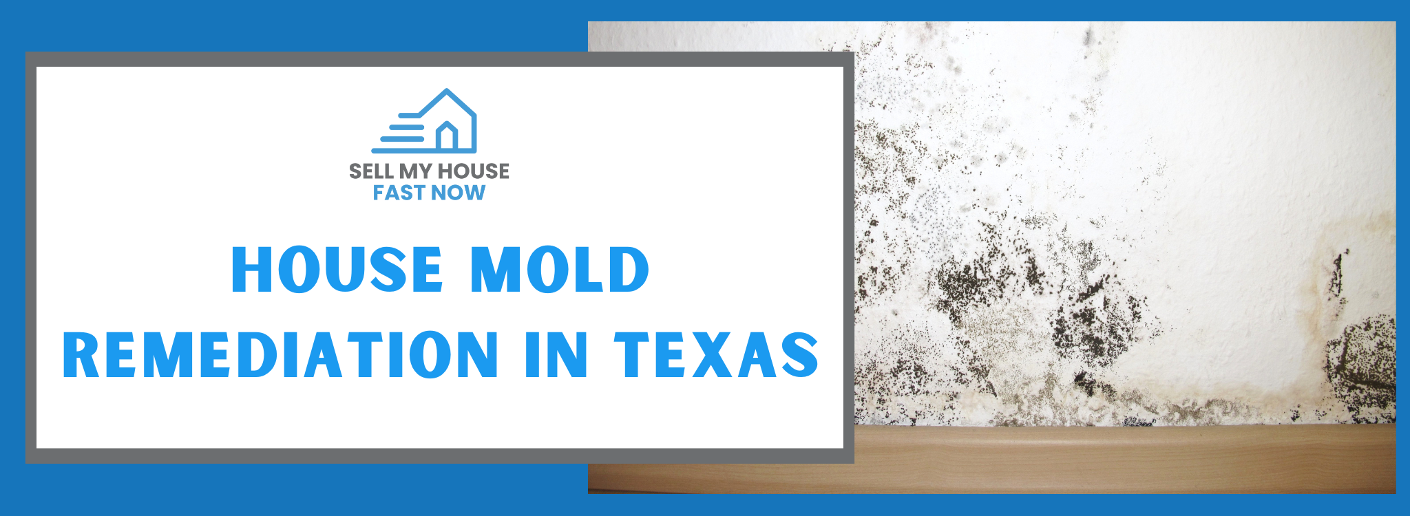 House Mold Remediation In Texas banner Texas