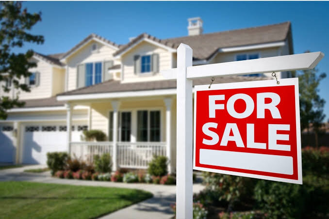 How To Sell Your House If It Is Infested With Termites
