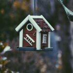 A tiny birdhouse