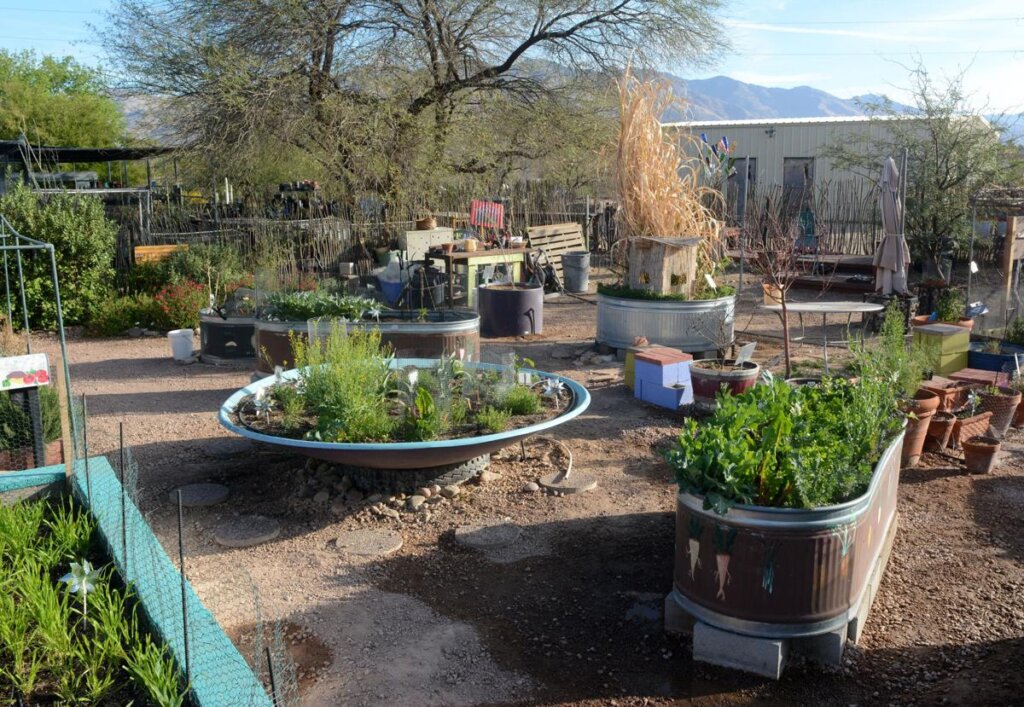 Container Gardesn for Mobile Homes in Arizona