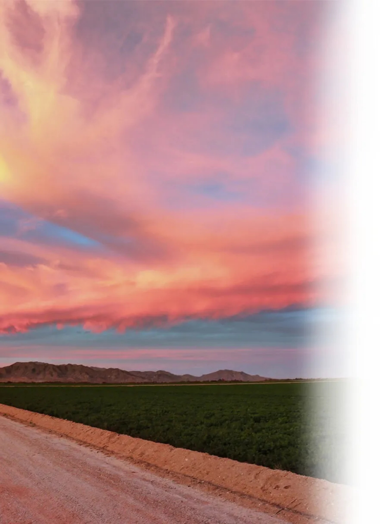 Cash Land Buyers In Payson